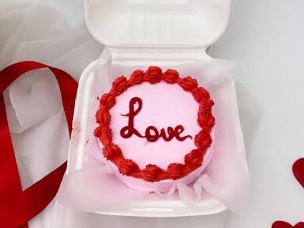 Valentine's Love Bento Cake VL3