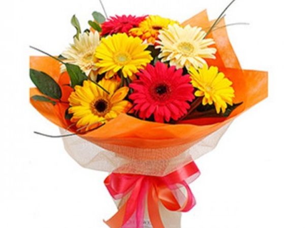 12 Gerberas Bouquet