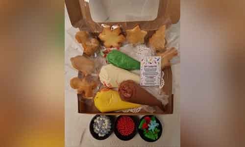 DIY Xmas kit ( small)